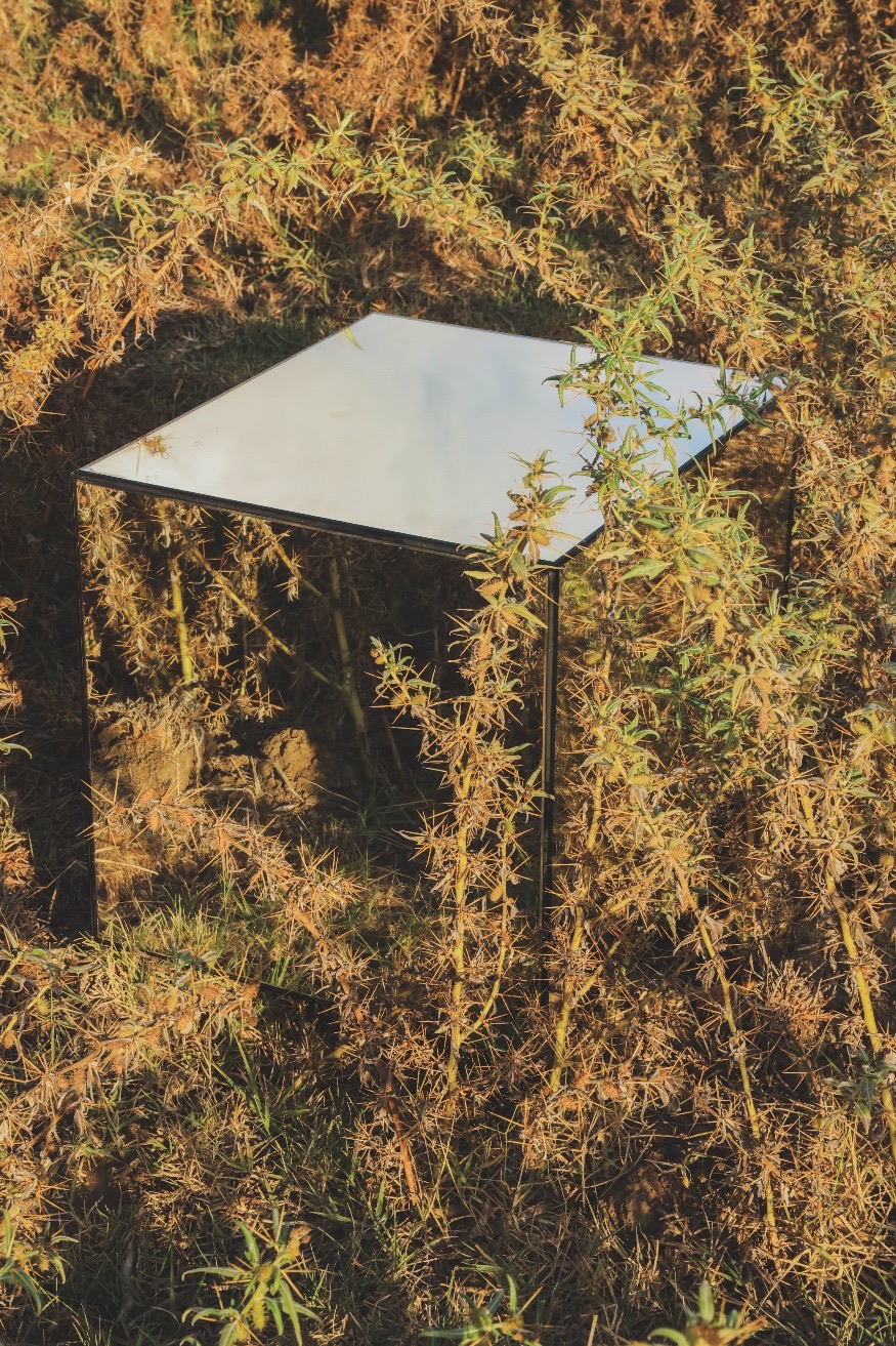 A mirrored cube among basalt stones and dry thorns