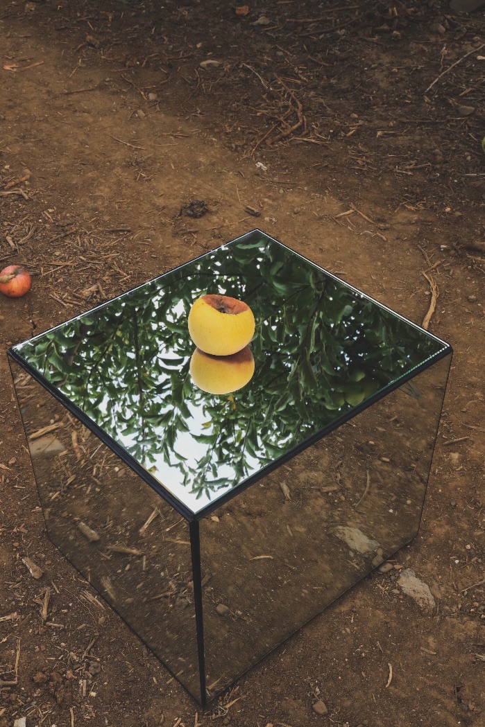 A standing mirror in an apple orchard, fallen apples around it